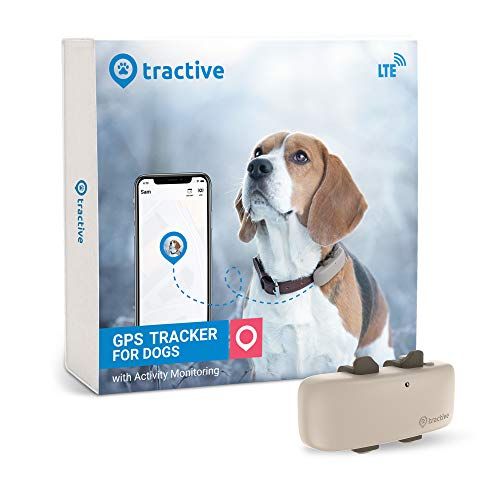 Tractive LTE rastreador de Perros GPS – Localizador de Actividad para Perros con Rango Ilimitado (Modelo más Nuevo), Beige (TRNJA4)