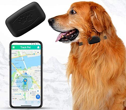 Rastreador GPS para perros, sin cuota mensual, aplicación gratuita, dispositivo de seguimiento en tiempo real, control de aplicación, collar de seguimiento de ubicación para perros, impermeable, pequeño, ligero (35 g), cobertura en todo el país