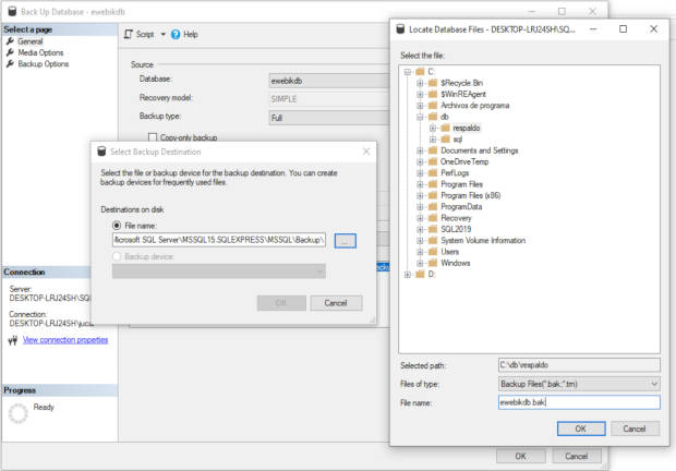 Selección de la ruta de almacenamiento del respaldo en SQL Server Management Studio